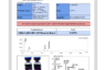 Certificate of Analysis for Klow Peptide Blend at Protide Health